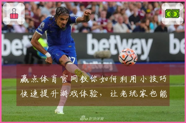 赢点体育官网教你如何利用小技巧快速提升游戏体验，让老玩家也能感受到新鲜感